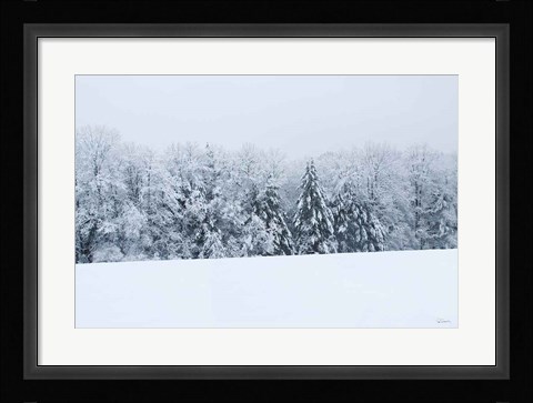Framed Snowshoe Hill Print