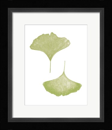 Framed Renew on White Print