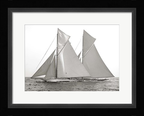 Framed Columbia &amp; Shamrock, 1901 Print