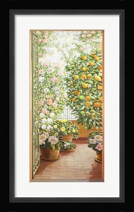 Framed Porta sul Terrazzo Fiorito Print