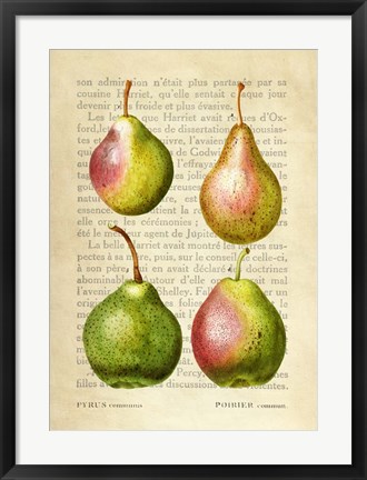 Framed Pears, After Redoute Print
