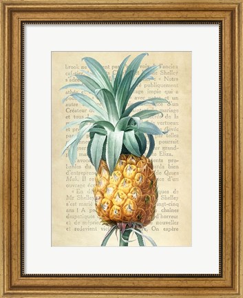Framed Pineapple, After Redoute Print