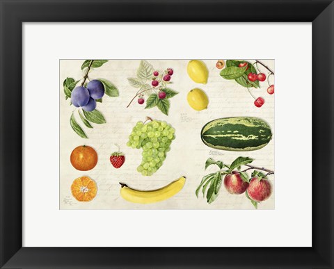 Framed Fruits du Monde Print