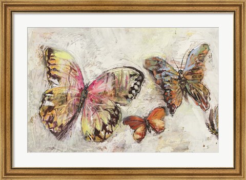Framed Farfalle in Volo II Print