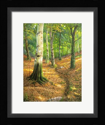 Framed Sentiero nel Bosco Print