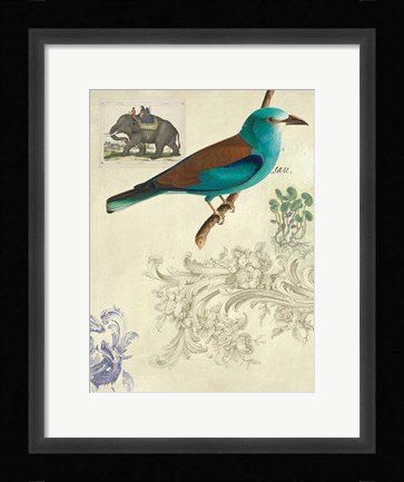 Framed Cabinet of Curiosities 2 Print