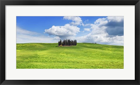Framed Cypresses, Val d&#39;Orcia, Tuscany (detail) Print