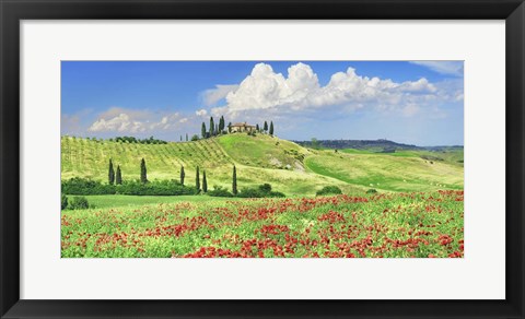Framed Farmhouse with Cypresses and Poppies, Val d&#39;Orcia, Tuscany Print
