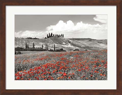 Framed Farmhouse with Cypresses and Poppies, Val d&#39;Orcia, Tuscany (BW) Print