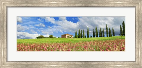 Framed Landscape with cypress alley and sainfoins, San Quirico d&#39;Orcia, Tuscany Print