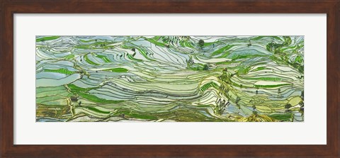 Framed Rice Terraces, Yunnan, China Print