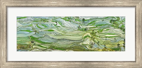 Framed Rice Terraces, Yunnan, China Print