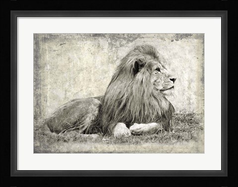 Framed Memories of Africa I Print