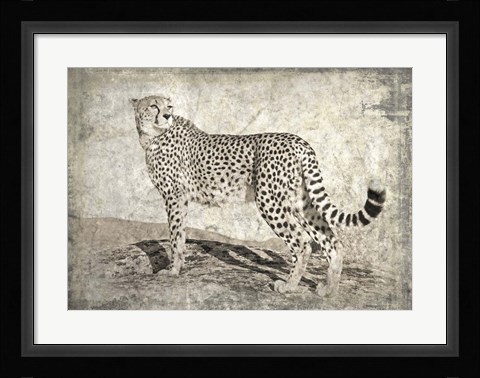Framed Memories of Africa II Print