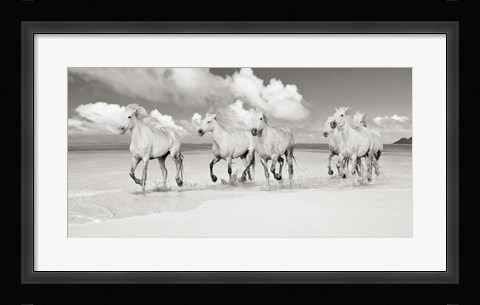 Framed Band of Brothers, Lanikai Beach, Hawaii (BW) Print
