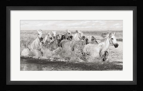 Framed Herd of Horses, Camargue Print