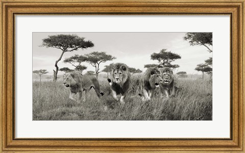 Framed Brothers, Masai Mara, Kenya (detail) Print