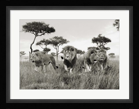 Framed Brothers, Masai Mara, Kenya Print