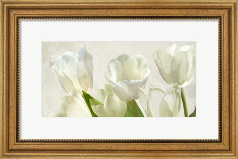 Framed White Tulips (detail) Print