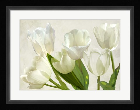 Framed White Tulips Print