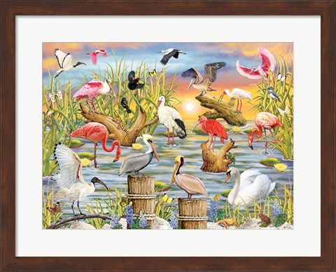 Framed Fabulous Water Birds Print