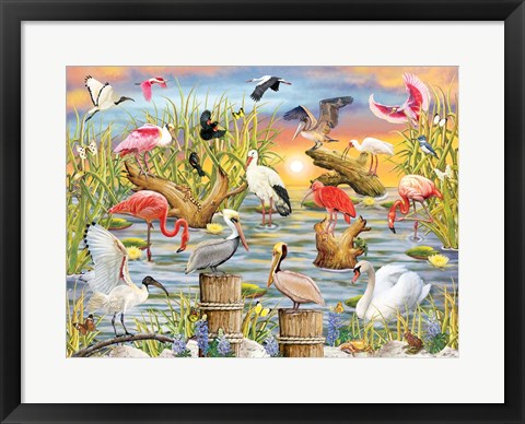 Framed Fabulous Water Birds Print