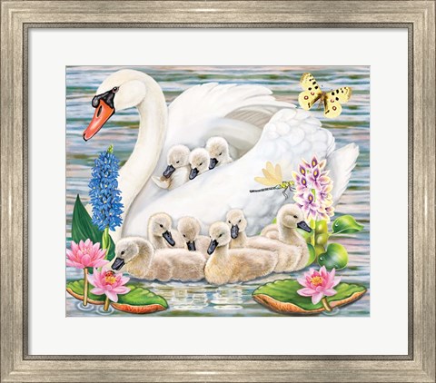 Framed Mother Swan Print