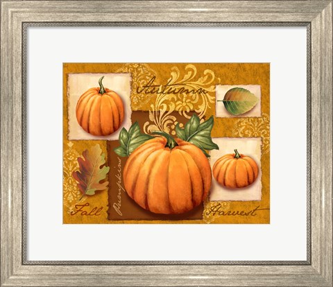 Framed Harvest Pumpkins Print