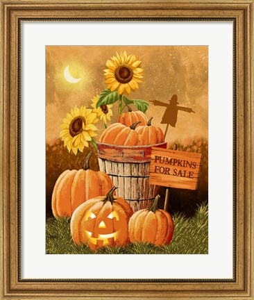 Framed Pumpkins for Sale Print