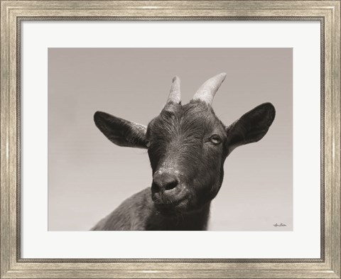 Framed Lake Tobias Goat I Print