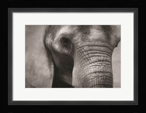 Framed Elephant Print
