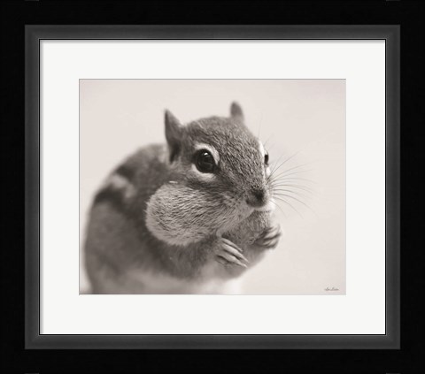 Framed Chippy Print