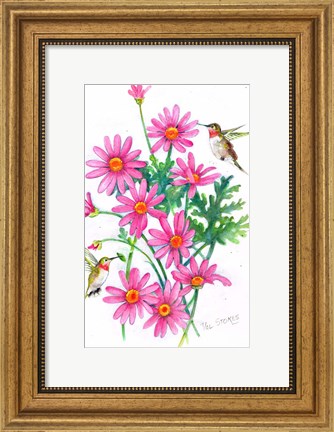 Framed Hummingbirds And Daisies Print