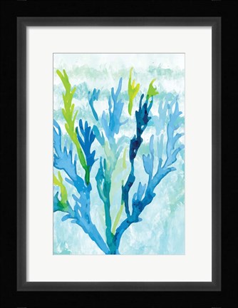 Framed Coral Print