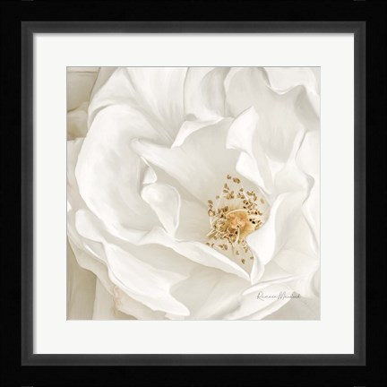 Framed Neutral Rose No. 3 Print
