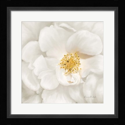 Framed Neutral Rose No. 4 Print