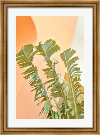 Framed Tropical Dream II Print