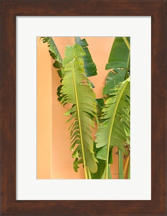 Framed Tropical Dream III Print