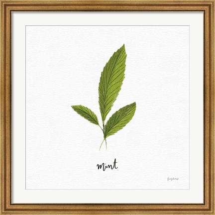 Framed Herbs VII White Print