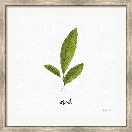 Framed Herbs VII White Print