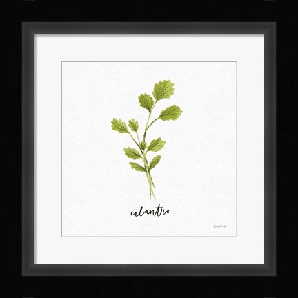 Framed Herbs IV White Print