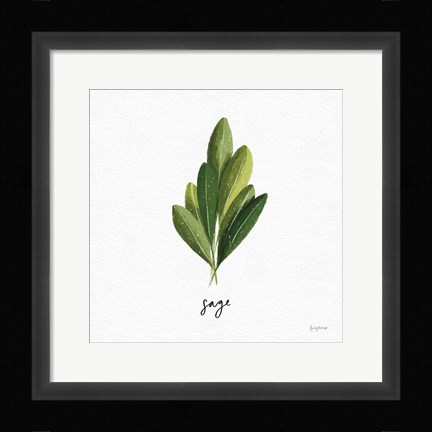 Framed Herbs II White Print