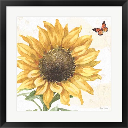 Framed Sunflower Splendor IX Print