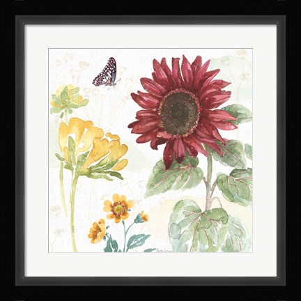 Framed Sunflower Splendor VI Print