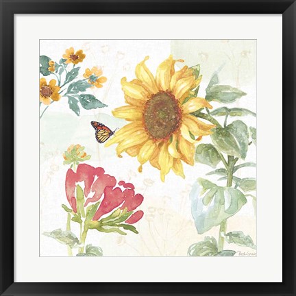 Framed Sunflower Splendor VIII Print