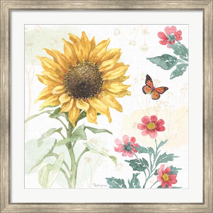 Framed Sunflower Splendor V Print