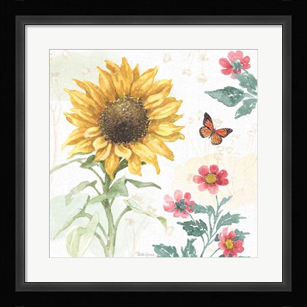 Framed Sunflower Splendor V Print