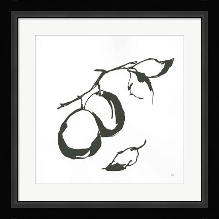 Framed Plums I BW Print