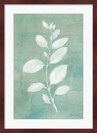 Framed Sage Leaves II Print