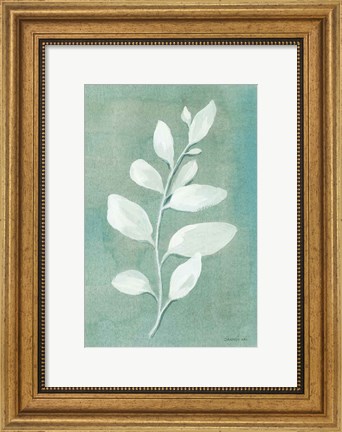 Framed Sage Leaves I Print